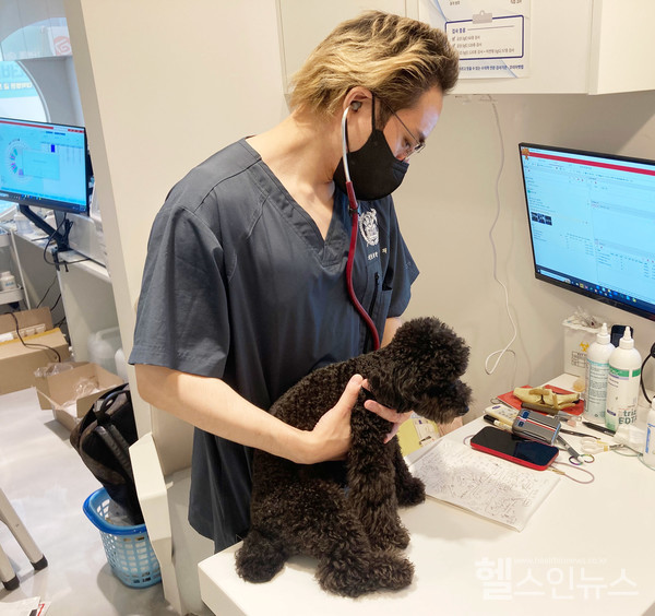 순수동물병원 박성재 수의사가 강아지의 '동맥관개존증(PDA)'를 검사하고 있다.  