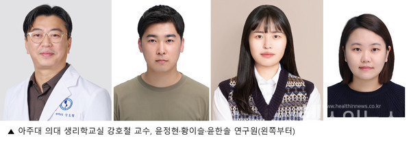 (왼쪽부터) 아주대 의대 생리학교실 강호철 교수, 윤정현·황이슬·윤한솔 연구원